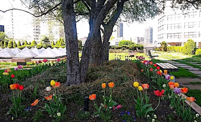 a view of terrace with a bench