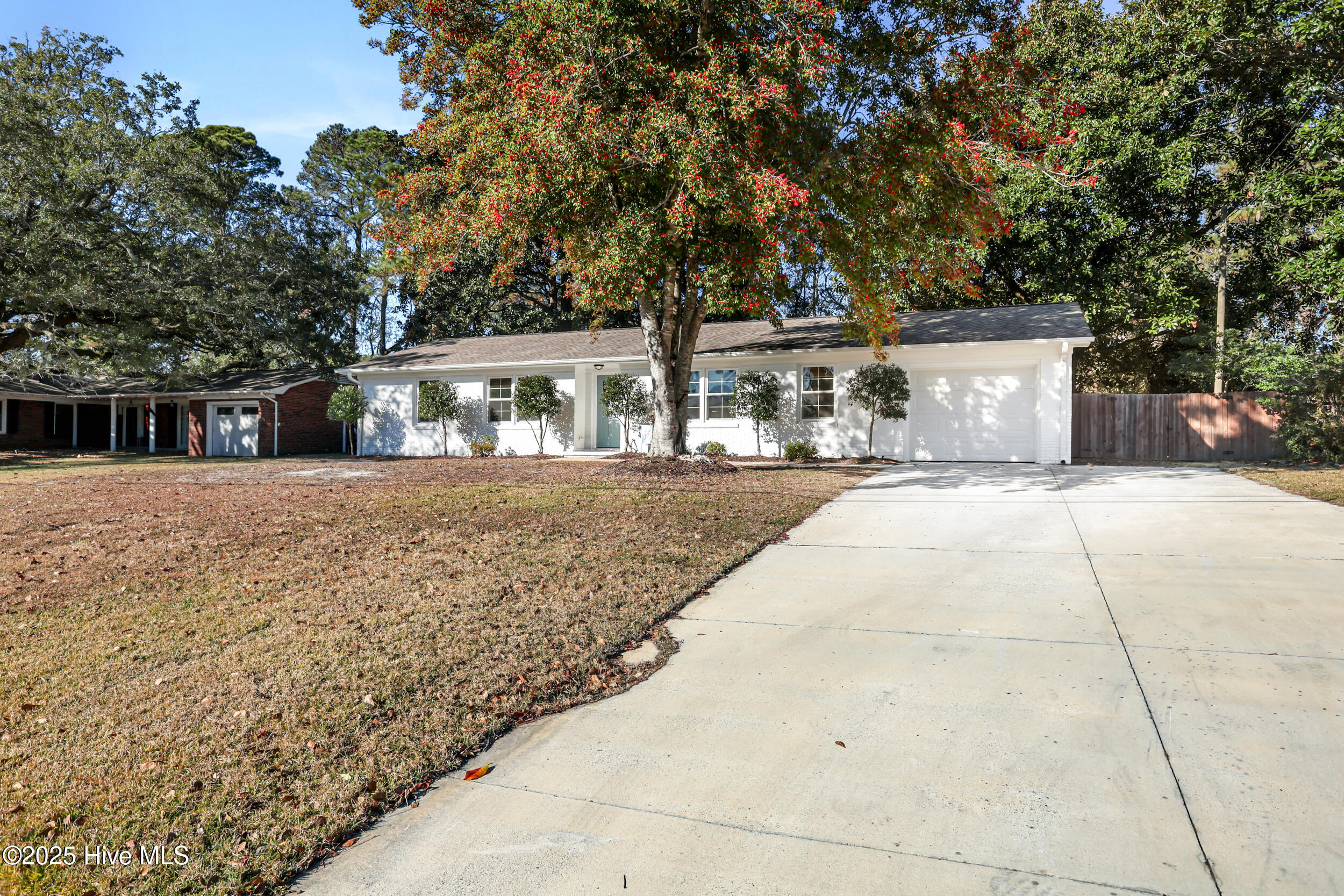 124 Kelly Road Wilmington, NC 28409 - Photo 3 of 30 3_img_6004