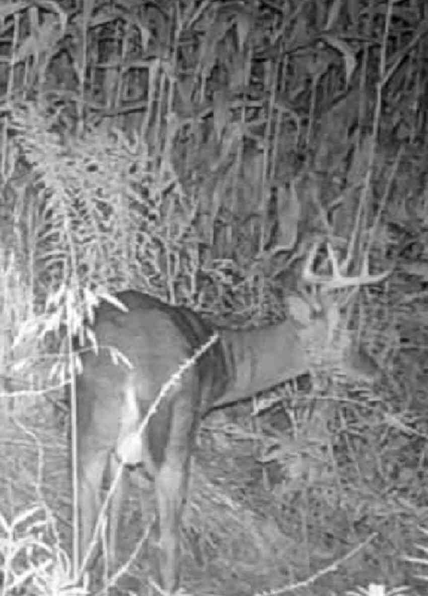 20720 12 Mile Road Battle Creek, MI 49014 - Photo 24 of 25 image000001 (1)