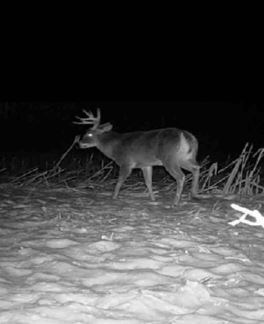 20720 12 Mile Road Battle Creek, MI 49014 - Photo 25 of 25 image000004 (1)