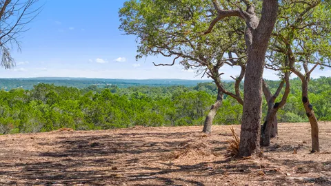 a view of a yard with a tree
