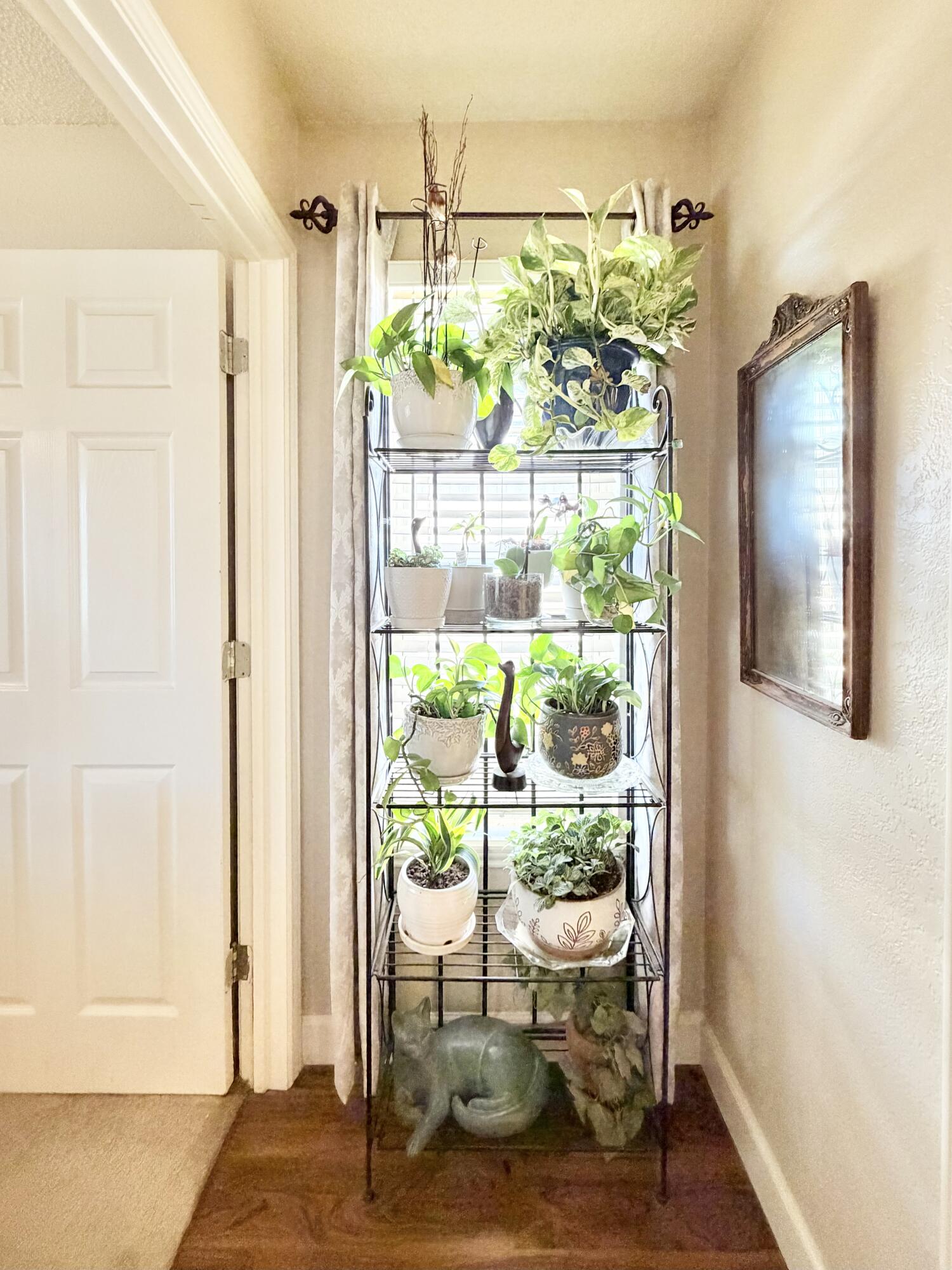 5002 55th Street Lubbock, TX 79414 - Photo 18 of 27 IMG_3559