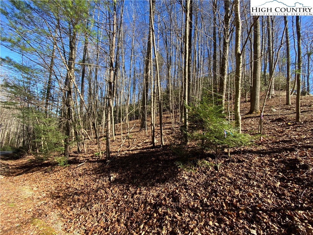 Lot 16 Twin Rivers Drive Boone, NC 28607 - Photo 1 of 13 Gallery Image 1