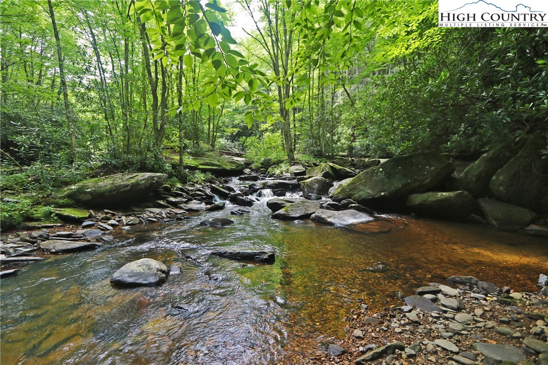 Lot 16 Twin Rivers Drive Boone, NC 28607 - Photo 11 of 13 Gallery Image 11