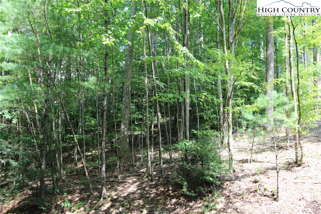 Lot 16 Twin Rivers Drive Boone, NC 28607 - Photo 2 of 13 Gallery Image 2