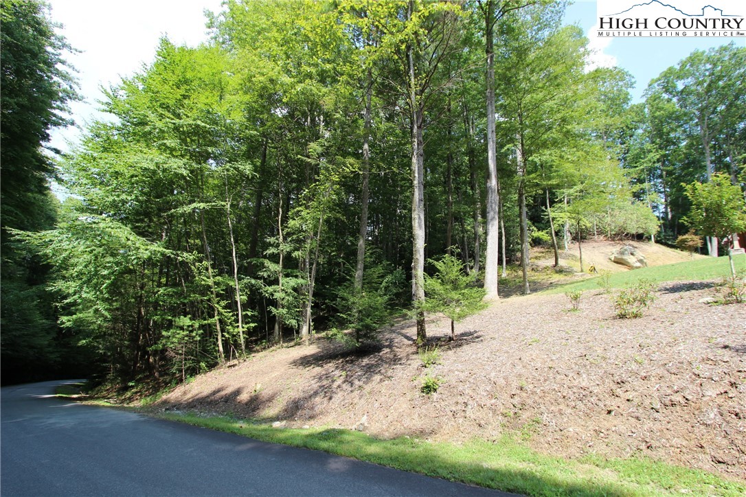 Lot 16 Twin Rivers Drive Boone, NC 28607 - Photo 6 of 13 Gallery Image 6