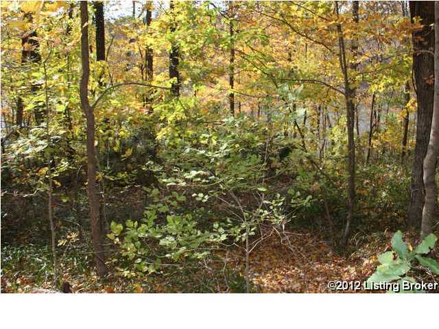 1504 Country Paradise Road Leitchfield, KY 42754 - Photo 18 of 24 Additional Photo