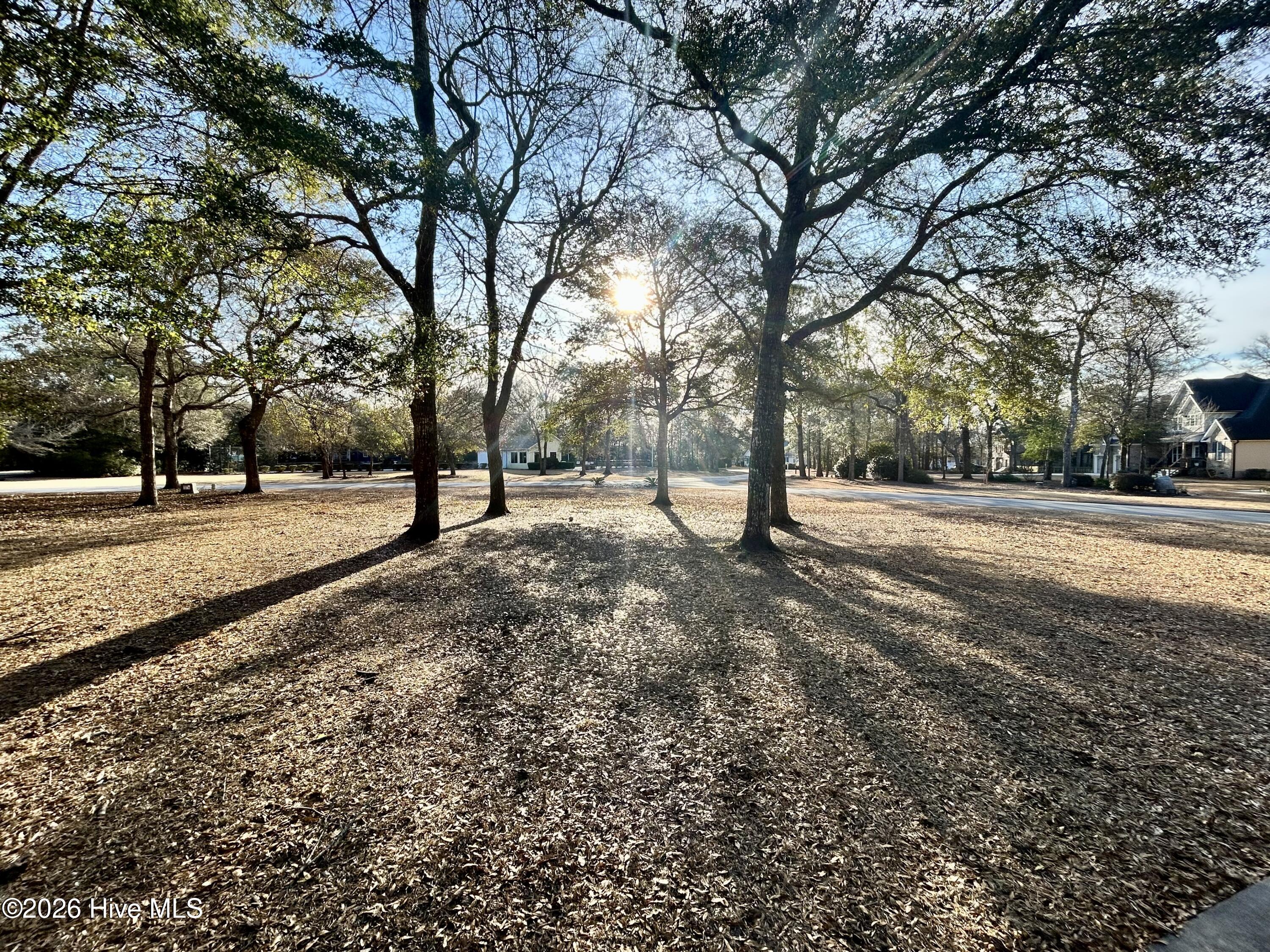 208 Shoreline Drive Cedar Point, NC 28584 - Photo 12 of 12 Park like setting