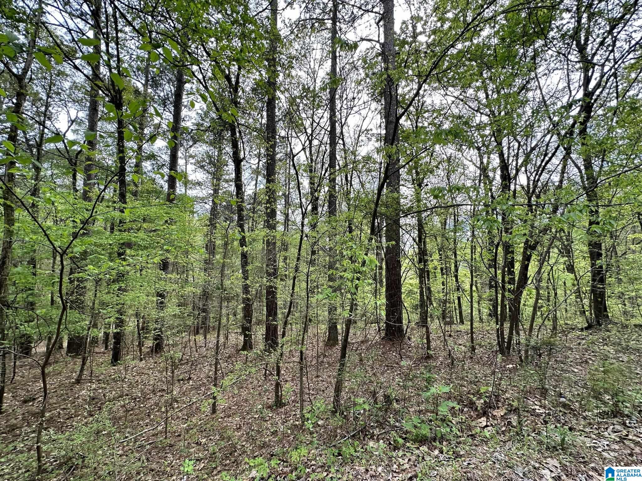 Lakeview Drive, Unit 53 Alpine, AL 35014 - Photo 3 of 35