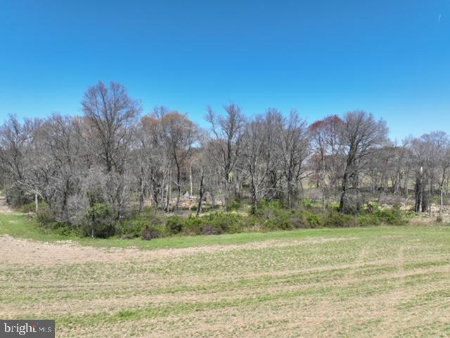 250 Obrecht Road Sykesville, MD 21784 - Photo 4 of 25 Gallery Image 4