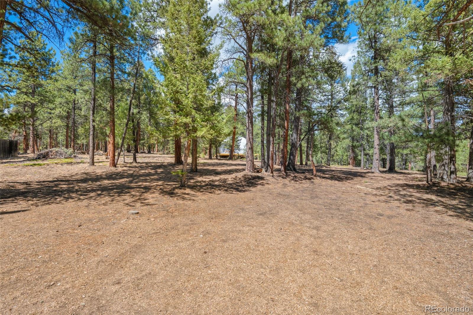 237 Rd B Pine, CO 80470 - Photo 20 of 38