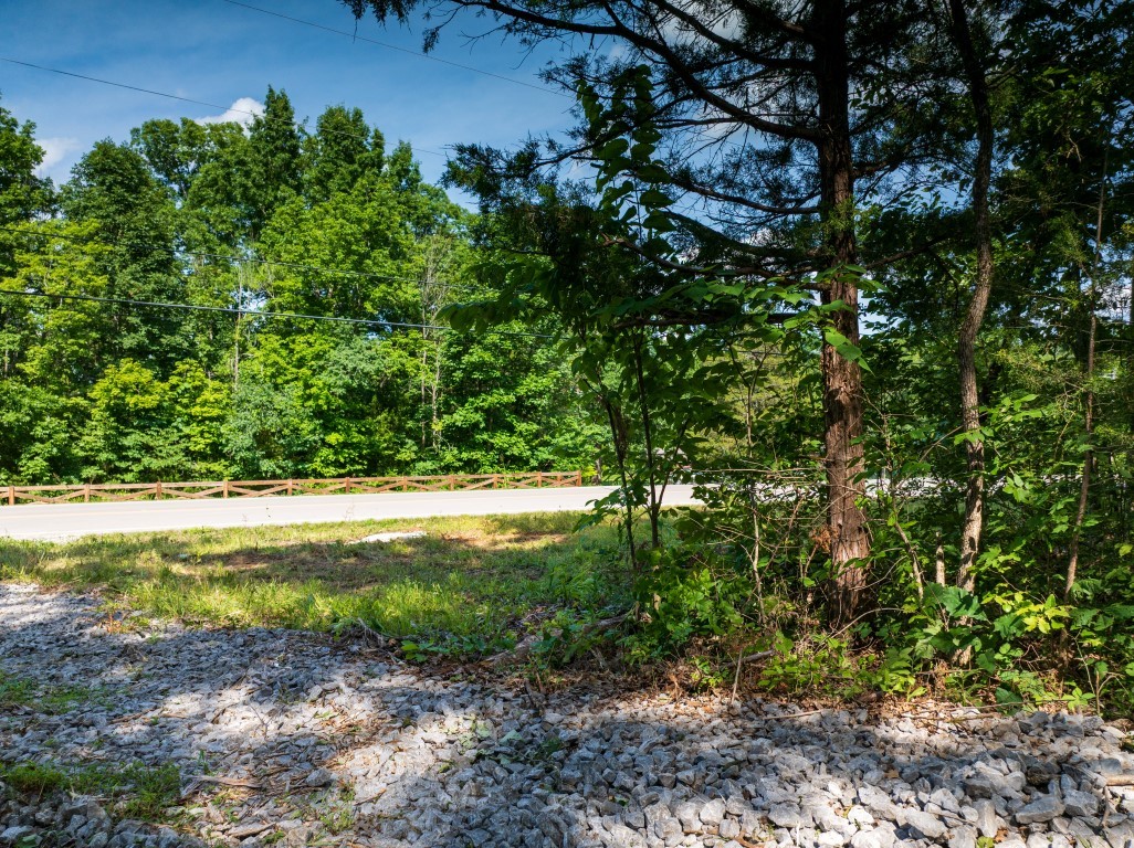 0 McElroy Road Readyville, TN 37149 - Photo 4 of 19