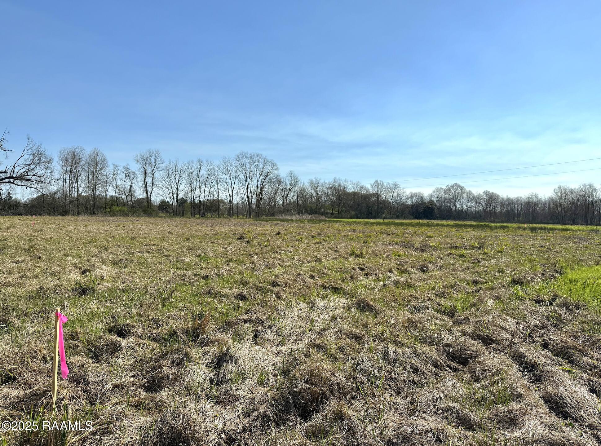 Tbd Tbd Apple Road Opelousas, LA 70570 - Photo 2 of 3 ALL BACK