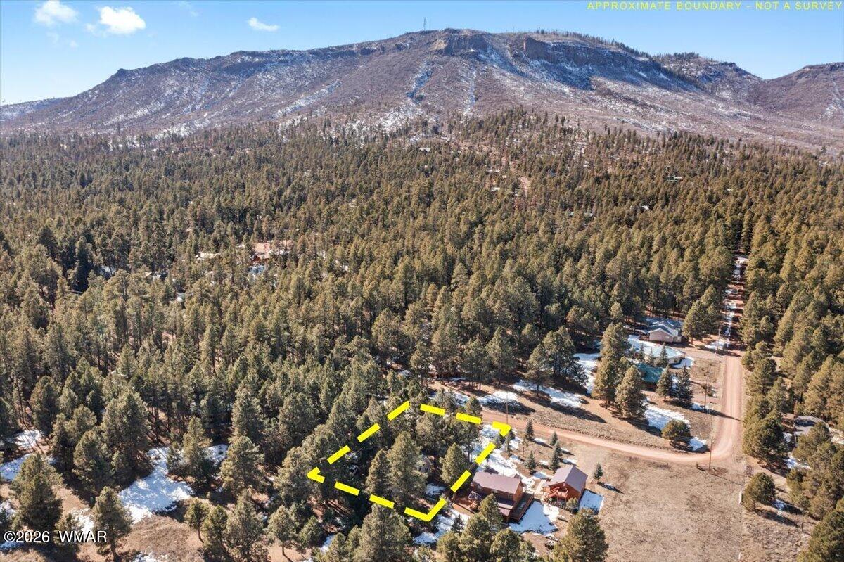 24 Co Road Alpine, AZ 85920 - Photo 32 of 32 32-DJI_0452