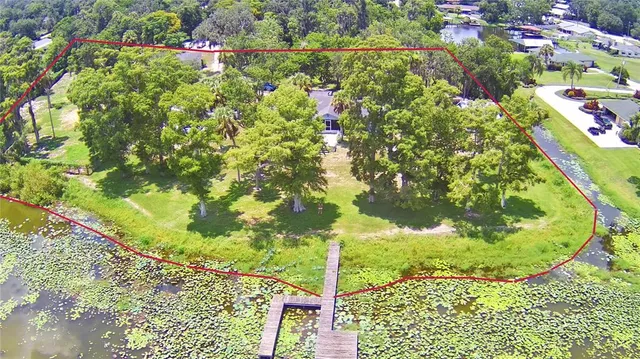 a backyard of a house with lots of green space and trees