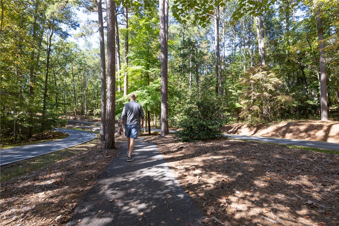 7 Divots Landing Salem, SC 29676 - Photo 41 of 47 Winding pathways guide through serene wooded landscapes, perfect for peaceful strolls.