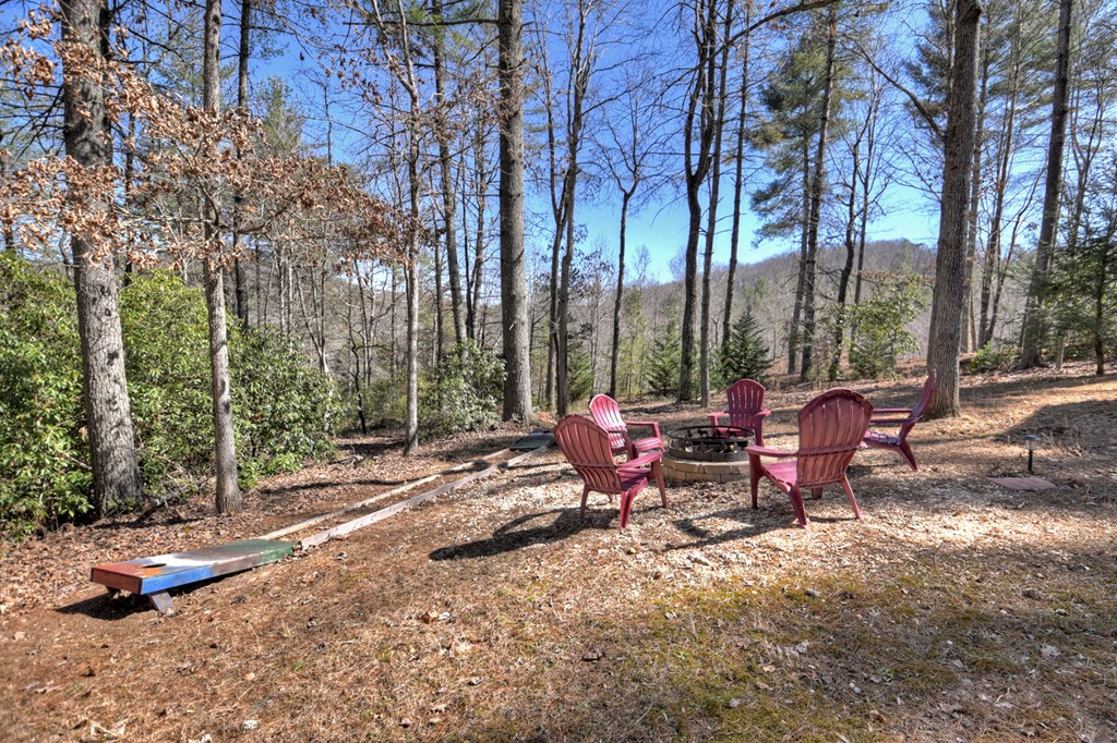 33 Carley Drive Morganton, GA 30560 - Photo 48 of 49
