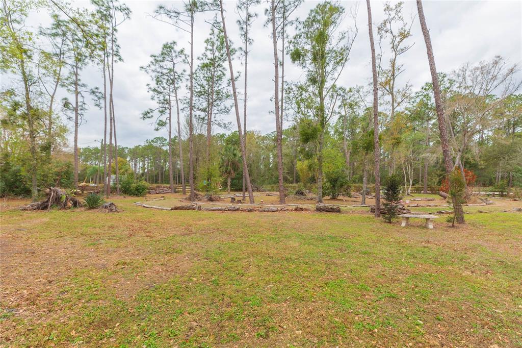 4772 Drexel Road Land O' Lakes, FL 34638 - Photo 6 of 19 Gallery Image 6