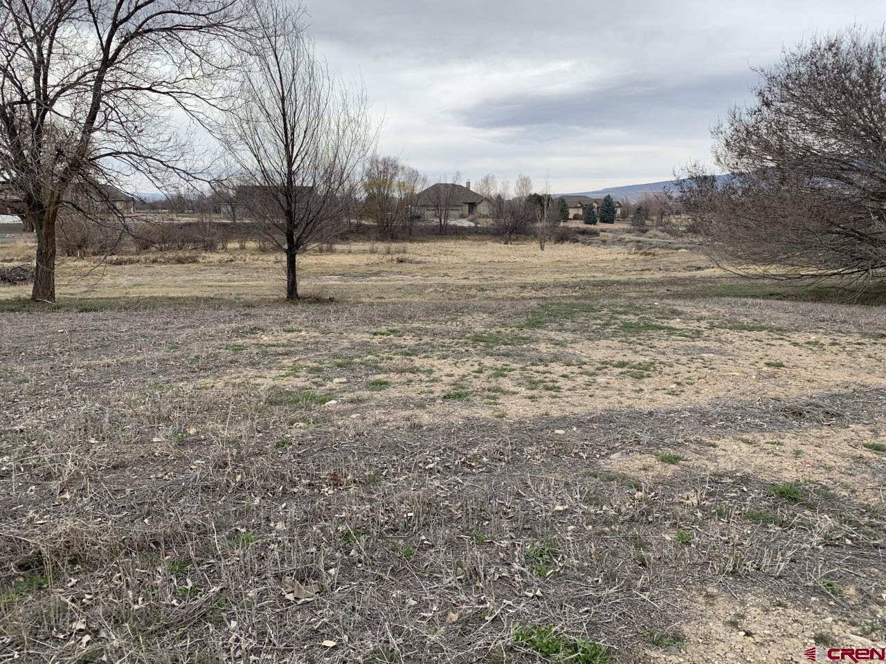 Lot 20 Trapper Court Delta, CO 81416 - Photo 2 of 4 a view of dirt field with large trees