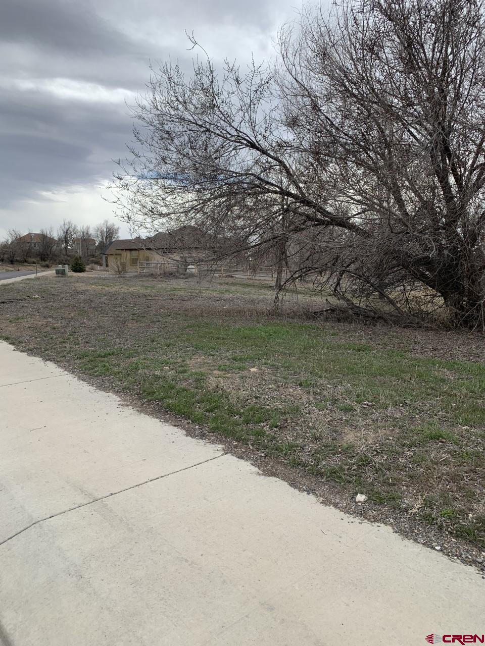 Lot 20 Trapper Court Delta, CO 81416 - Photo 4 of 4 a view of a yard with an trees
