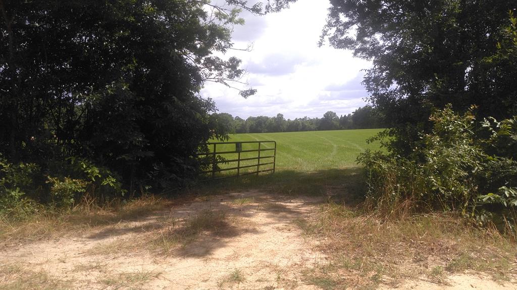 0 Bateman Avenue Slocomb, AL 36375 - Photo 1 of 5