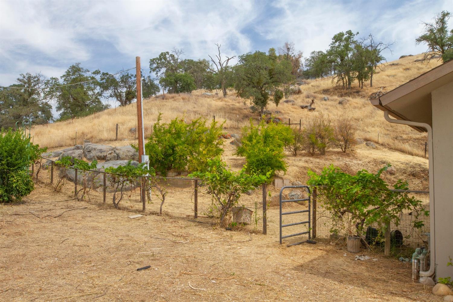 35080 George Smith Road Squaw Valley, CA 93675 - Photo 43 of 54 Gallery Image 43