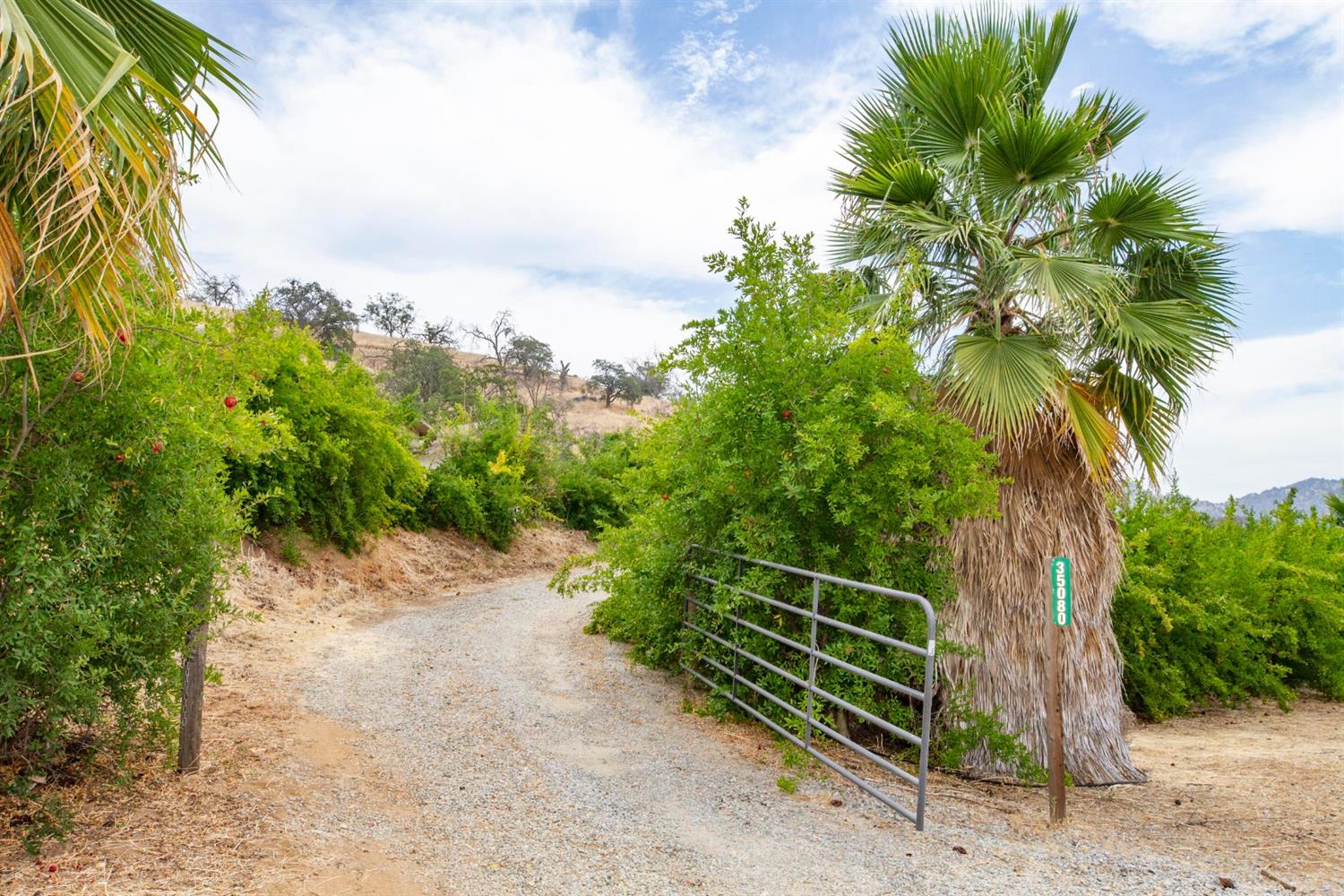 35080 George Smith Road Squaw Valley, CA 93675 - Photo 46 of 54 Gallery Image 46