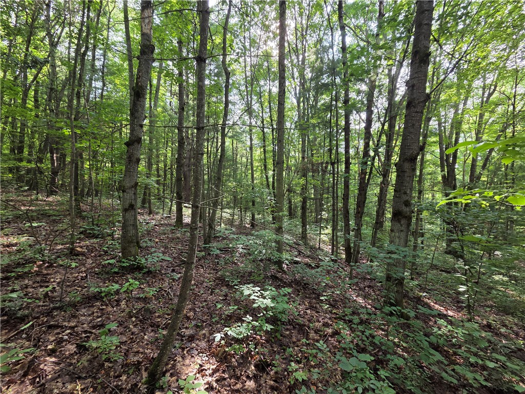 Bunnell Road Waverly, NY 14892 - Photo 43 of 49 Gallery Image 43