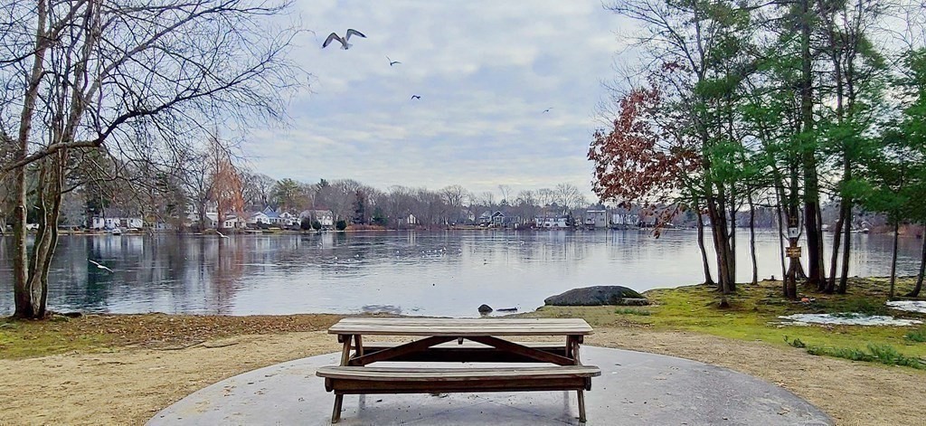 6 Sylvan Road Holbrook, MA 02343 - Photo 21 of 24 a view of a lake with a bench and trees
