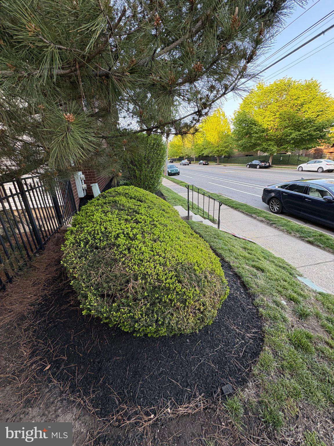 9538 State Rd., Unit B Philadelphia, PA 19114 - Photo 31 of 32 Lush greenery frames a tranquil street.