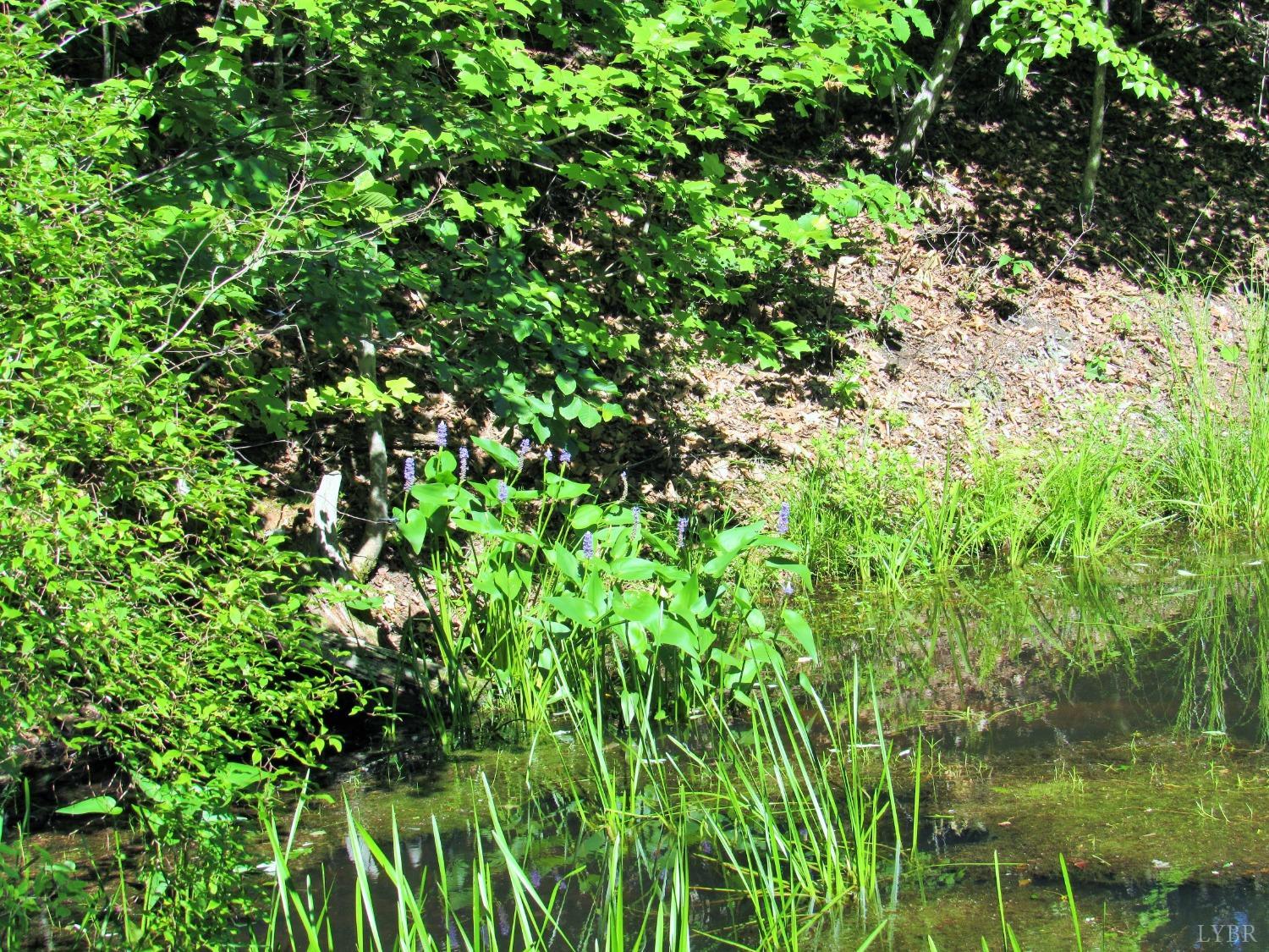 16 Christian Mill Creek Road Amherst, VA 24521 - Photo 4 of 13 Gallery Image 4