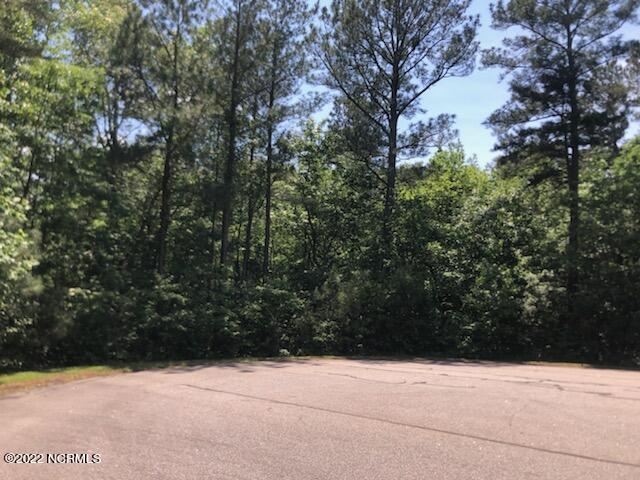 Lot 37 Lakeview Pass Rockingham, NC 28379 - Photo 1 of 9 Lot 37 Lakeview pass-Default pic