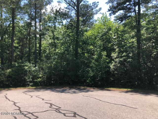 Lot 37 Lakeview Pass Rockingham, NC 28379 - Photo 3 of 9 Lot 37 Lakeview Pass Pic 3