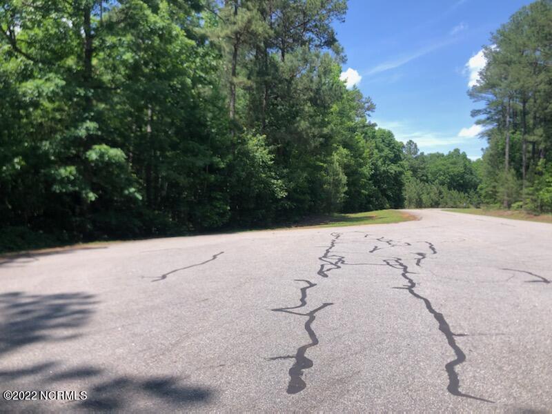 Lot 37 Lakeview Pass Rockingham, NC 28379 - Photo 4 of 9 Lot 37 Lakeview Pass-Street View