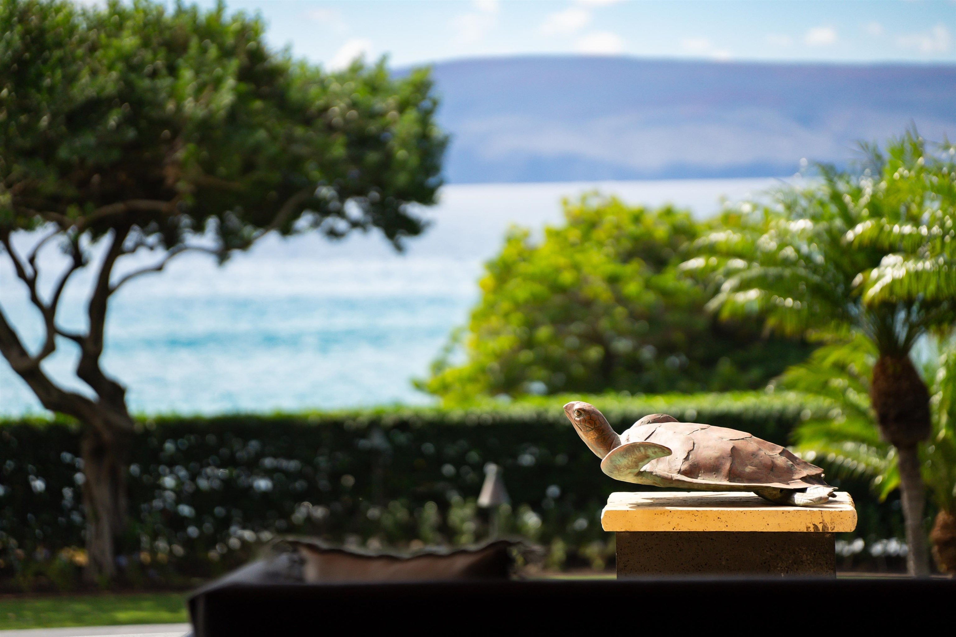 7505 Makena Road Kihei, HI 96753 - Photo 22 of 50