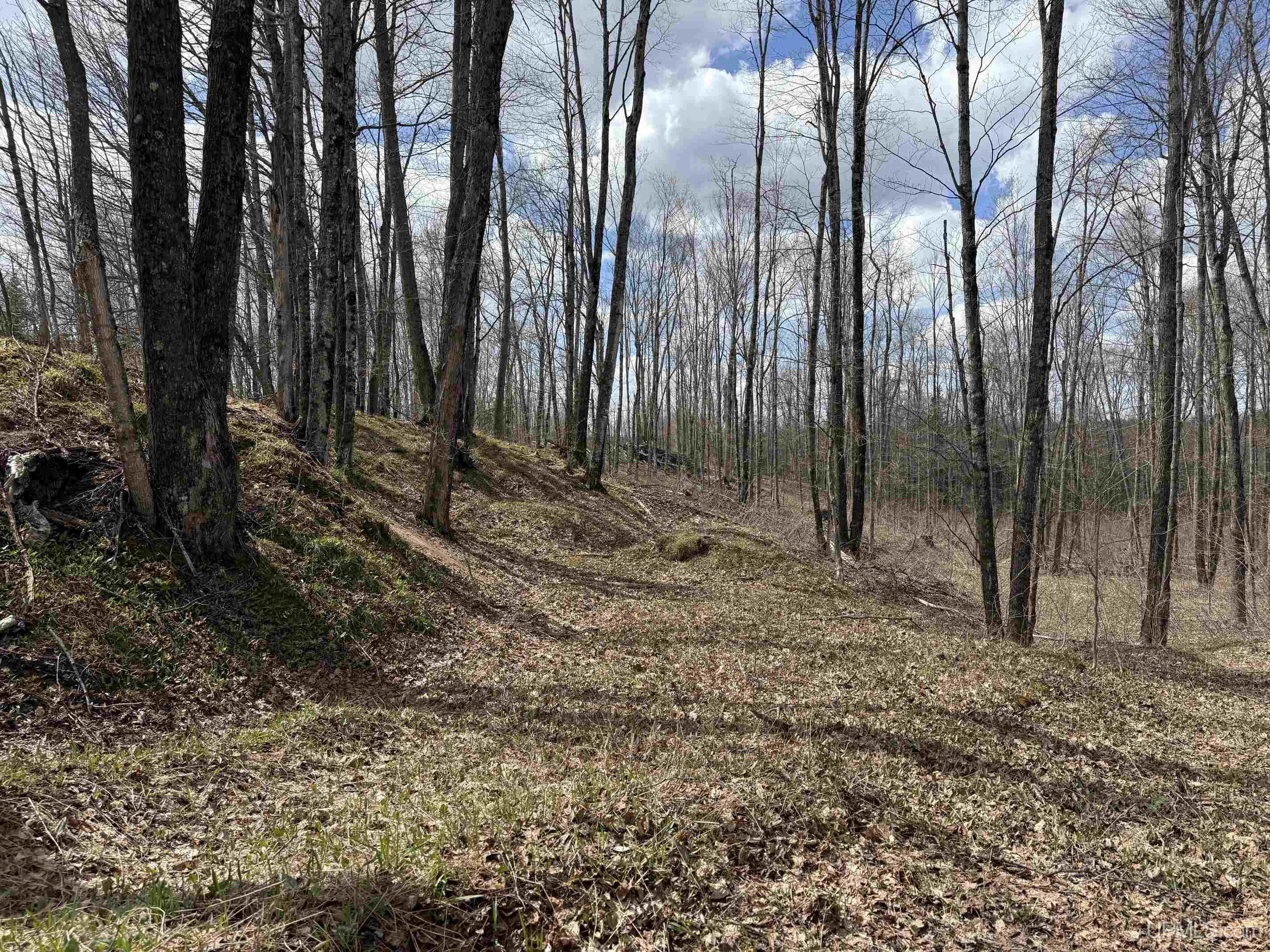 Tbdne Dog Patch Road Lanse, MI 49946 - Photo 13 of 23