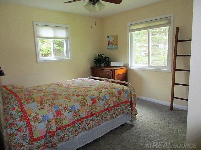 8370 South Lake Shore Road Harbor Beach, MI 48441 - Photo 10 of 21 50009183-9.JPG