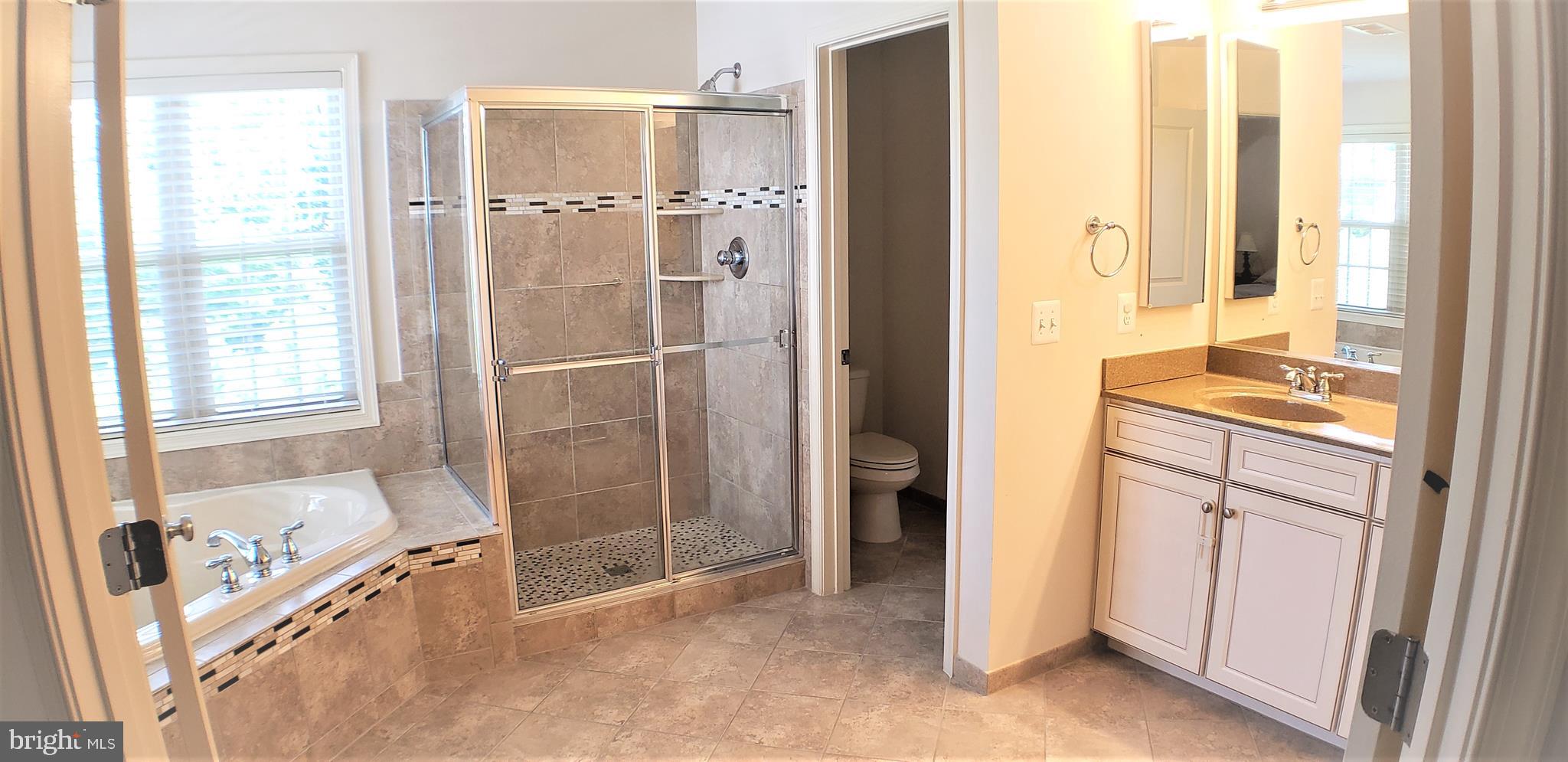 1538 Rabbit Hollow Place Silver Spring, MD 20906 - Photo 32 of 49 Master bathroom