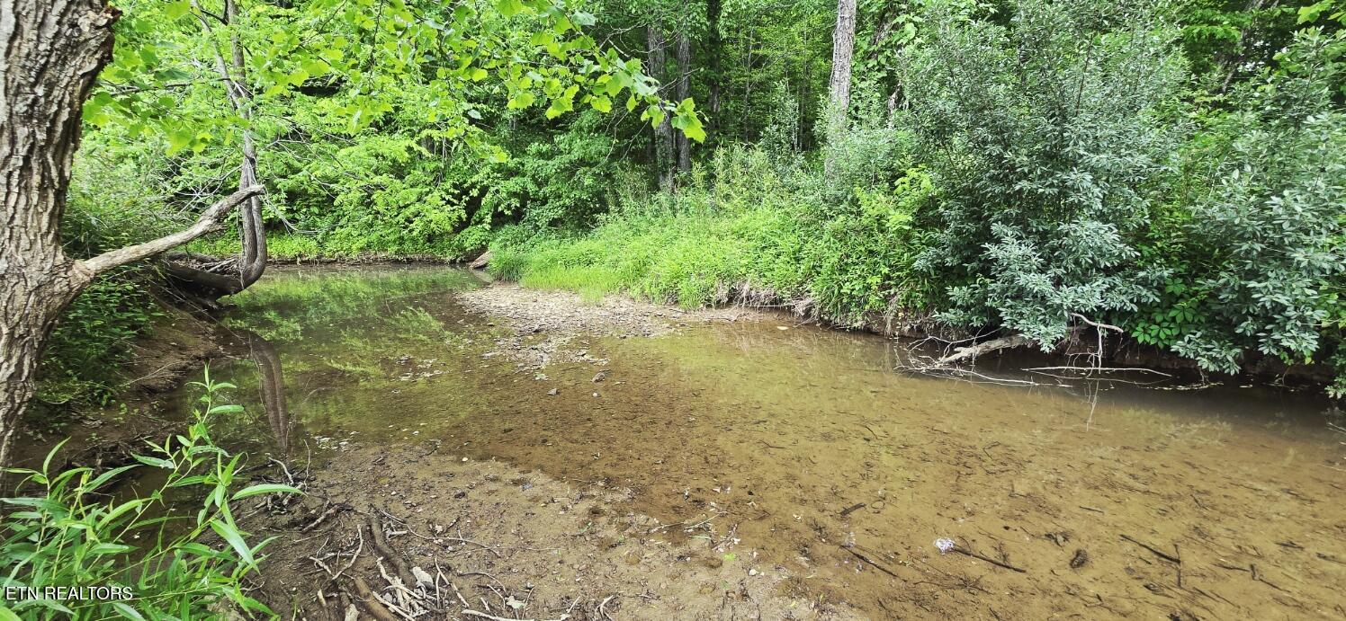 1095 Stanley Creek Road Oneida, TN 37841 - Photo 54 of 57 20260519_114233