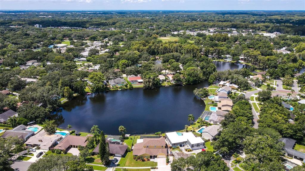 11606 Lipsey Road Tampa, FL 33618 - Photo 77 of 100 Gallery Image 77
