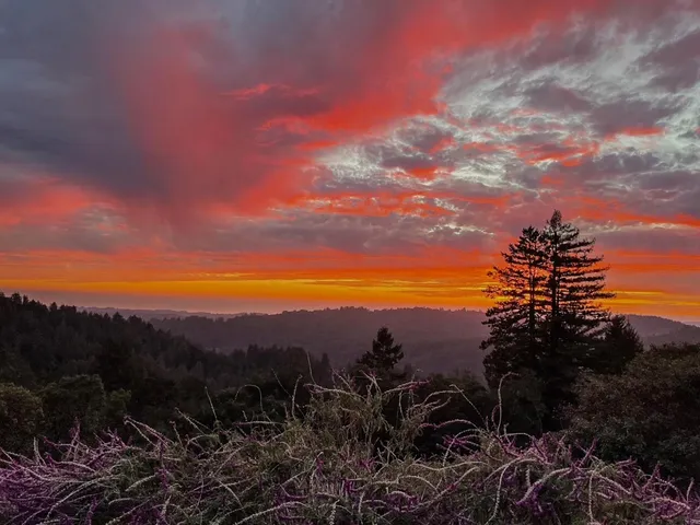 a kitchen with stainless steel appliances granite countertop a refrigerator sink and cabinets