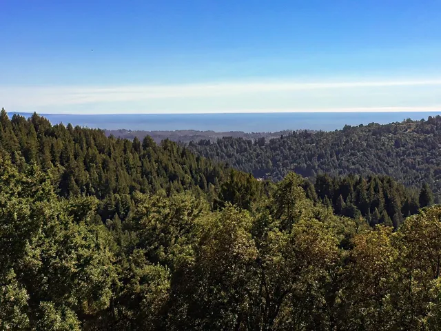 a front view of a house with a yard and a garden