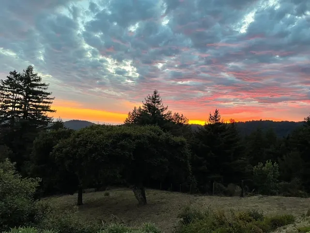 $1,599,000 | 1584 Tindall Ranch Road, Corralitos, CA 95076