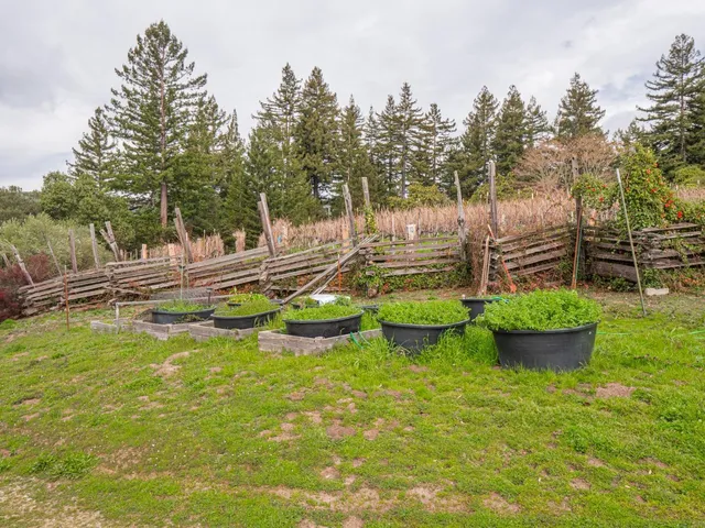 $1,599,000 | 1584 Tindall Ranch Road, Corralitos, CA 95076