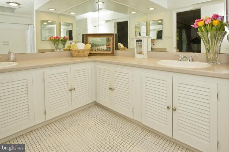 11245 Handlebar Road Reston, VA 20191 - Photo 20 of 27 a bathroom with a sink shower and a mirror