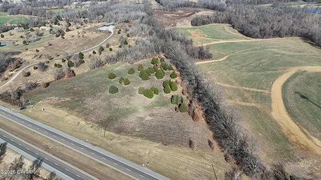a view of a lot of trees and bushes
