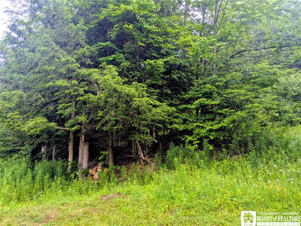 1186 28th Creek Road Ellington, NY 14747 - Photo 8 of 22