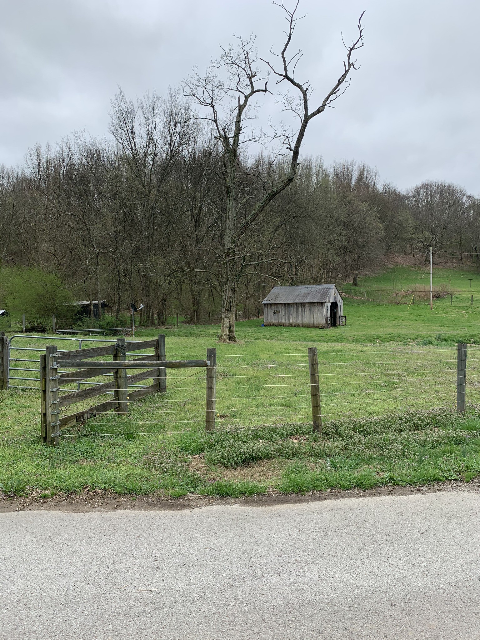 680 Big Spring Hollow Road Pulaski, TN 38478 - Photo 12 of 13