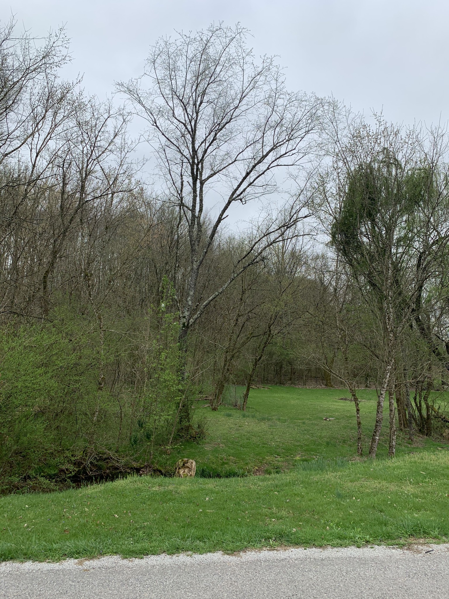 680 Big Spring Hollow Road Pulaski, TN 38478 - Photo 13 of 13