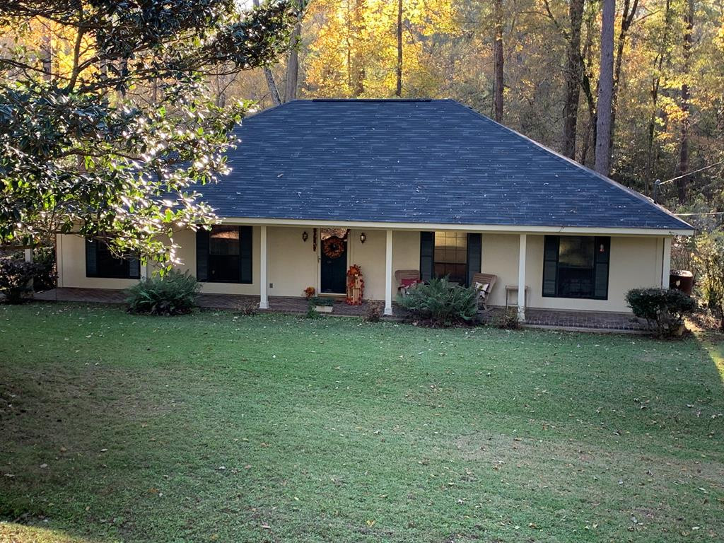 Main View